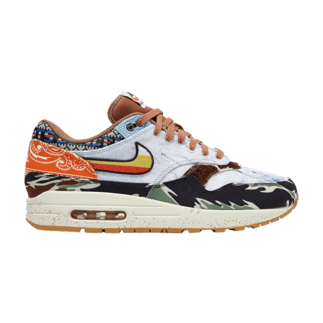 Nike Air Max 1 SP Concepts Heavy