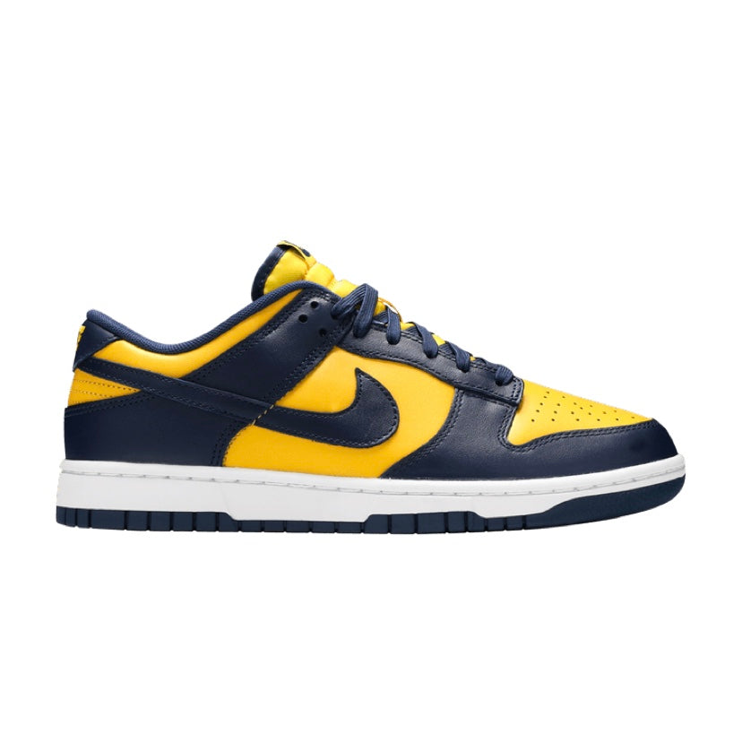 Amazon.com | Nike Youth Dunk Low GS CW1590 700 Michigan 2021